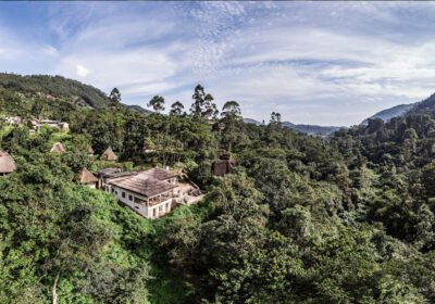 Best Eco-Lodges Near Volcanoes NP Supporting Rwanda’s Gorilla Conservation Efforts