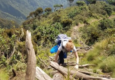 Why the Musanze Region Is Perfect for Multi-Day Gorilla and Hiking Adventures