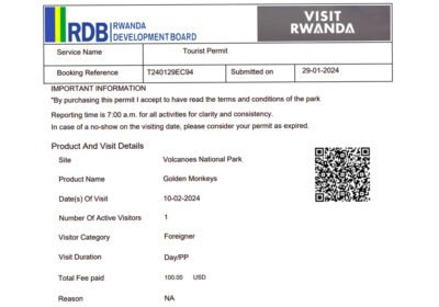 How Rwanda’s Gorilla Permit Pricing Creates Exclusive and Sustainable Tourism Experiences