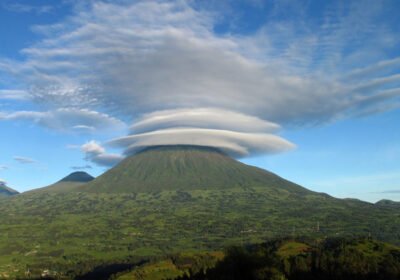 Why Volcanoes NP Gorilla Treks Are Often Shorter and Less Strenuous Than Uganda