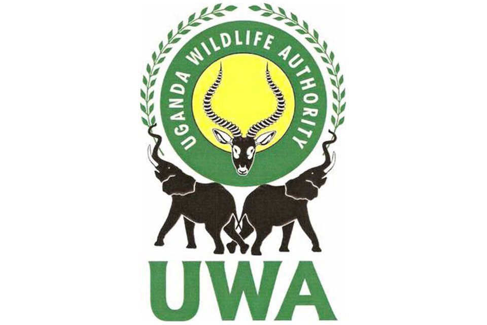 uwa