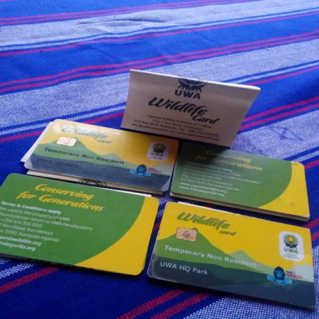 Gorilla Trekking Permits