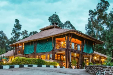 Rwanda’s Top Gorilla Lodges
