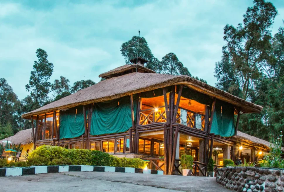 Rwanda’s Top Gorilla Lodges
