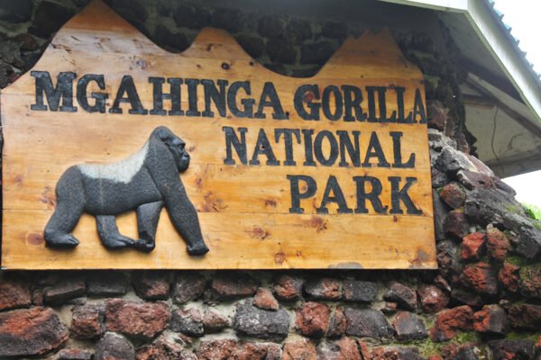 7-Day Kibale, Bwindi & Mgahinga Primates of Uganda Safari