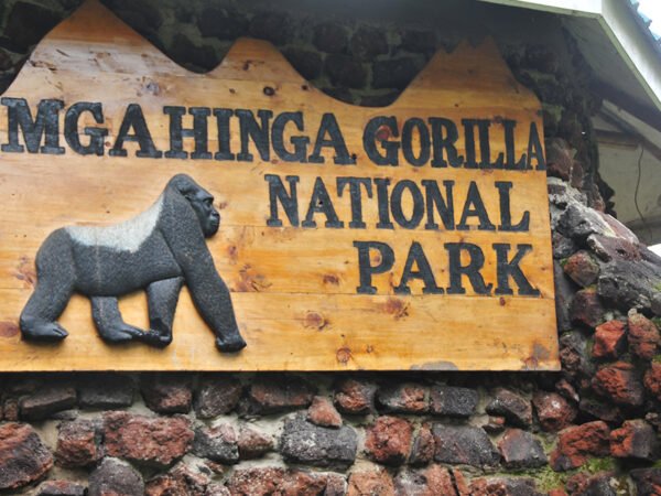 7-Day Kibale, Bwindi & Mgahinga Primates of Uganda Safari