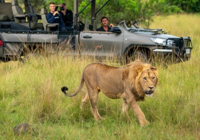 Rwanda’s Appeal to High-End, Time-Smart Safari Travelers