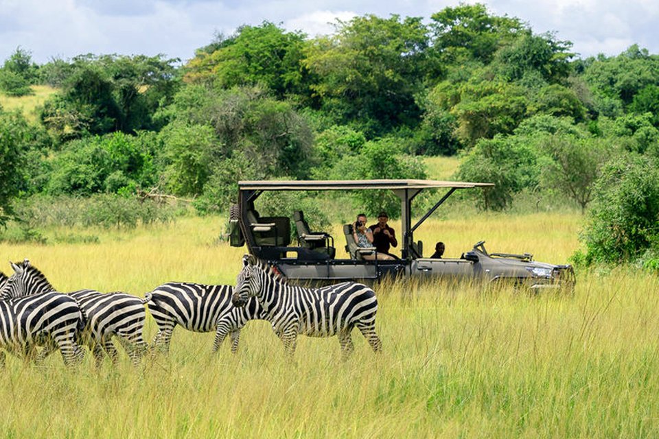 photo safaris