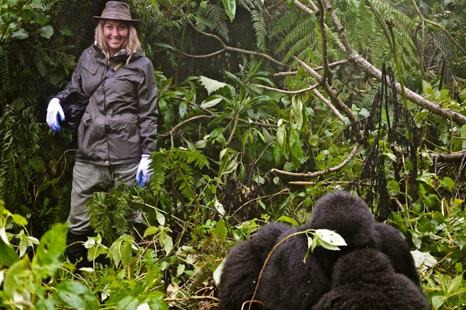 gorilla trekking